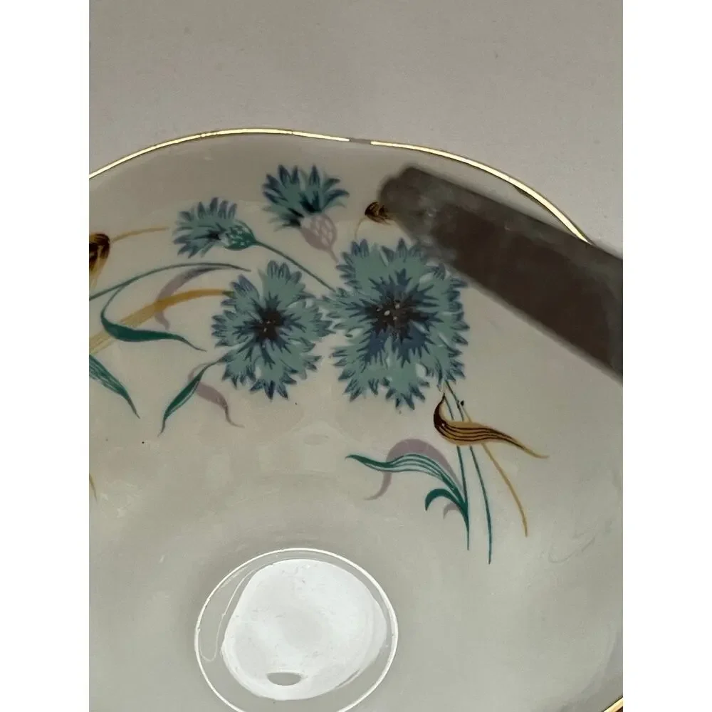Rare Vintage Royal Albert Carnation Tea Cup Only